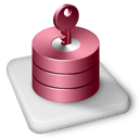 Color MS Access icon